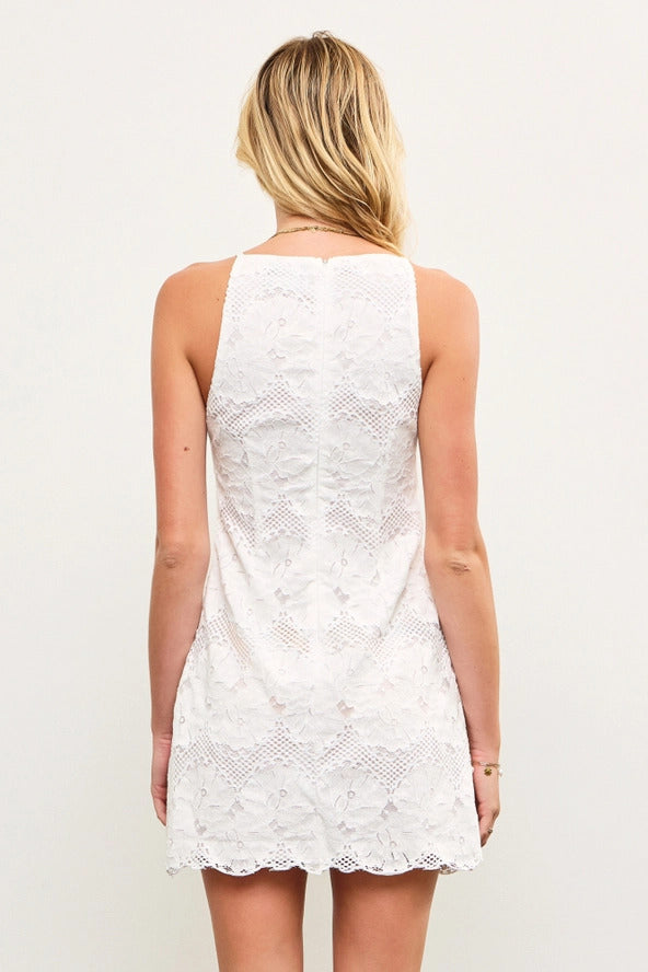 Boat Neck Lace Dress