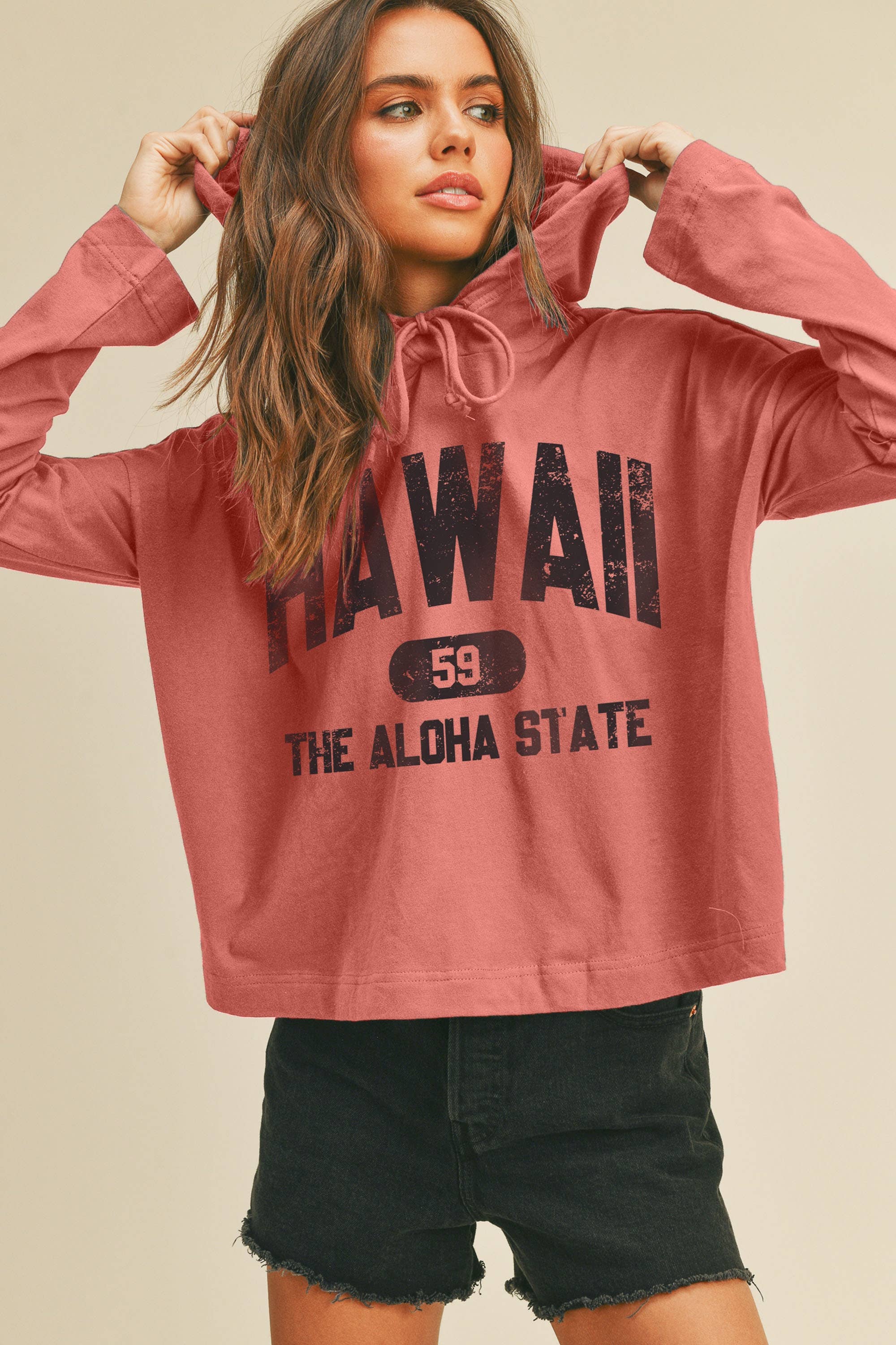 Hawaii The Aloha State Graphic Hooded Tee